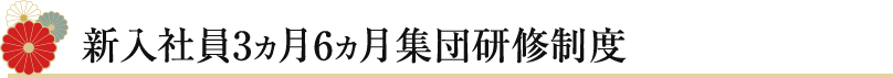 新入社員3ヵ月6ヵ月集団研修制度